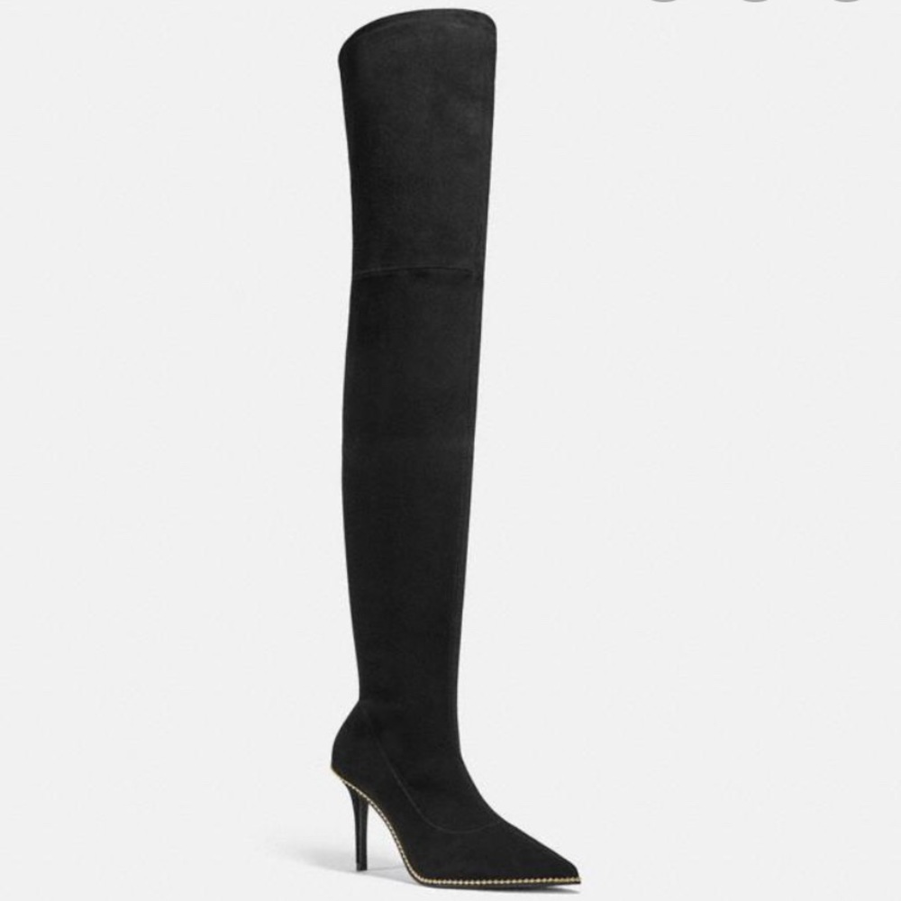 Coach Thigh High Wyonna Suede Boot